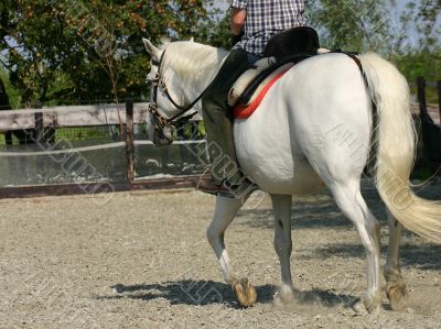 Horseriding