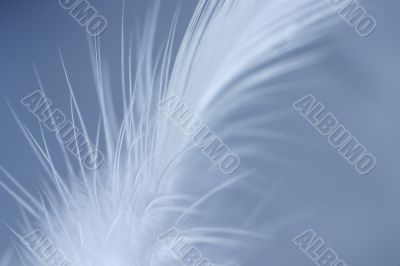 little white feather