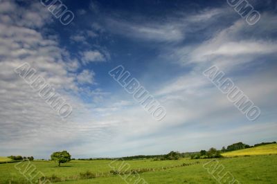 Bright summer day