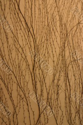 Branches on a wall