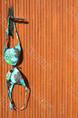 Colour Bra / door background
