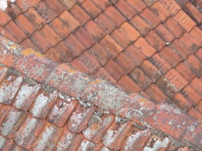 old roof
