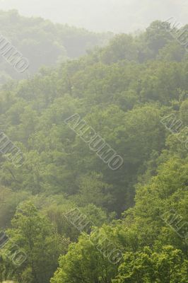 Mist in the hills