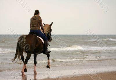 Trotting on the beach