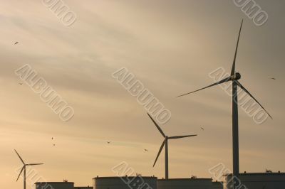 Windmills