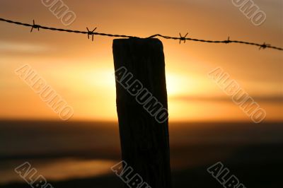 Barb wire fence
