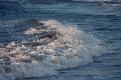 Blue coastal wave
