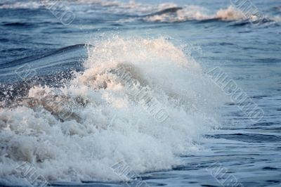 Sea wave