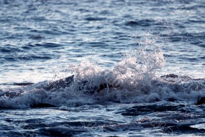 Splashing water