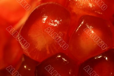 Pomegranate seeds