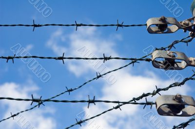 barbed wire