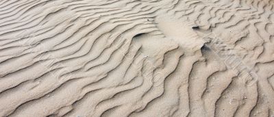 sand shapes