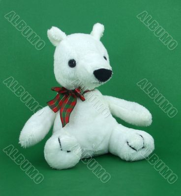 Cute Plush Polar Bear on Green