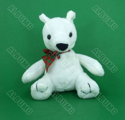 Cute Plush Polar Bear on Green