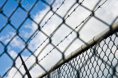 barbed wire and chain link fence