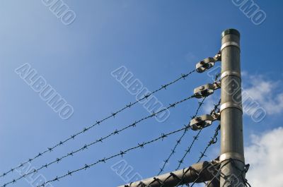 barbed wire on a fence