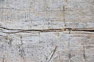 rough wood texture