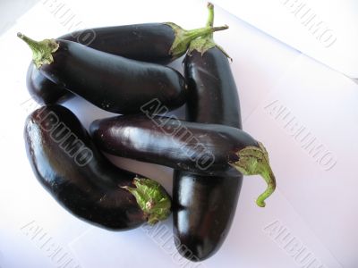 Egg-plants