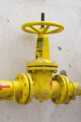 Yellow valve