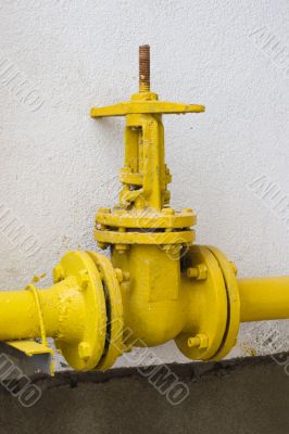 Yellow valve