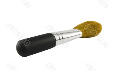 Makeup Brush