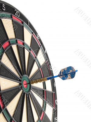 hitting the bullseye!