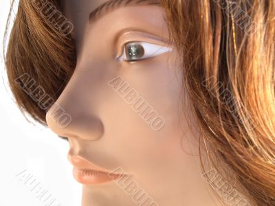 mannequin