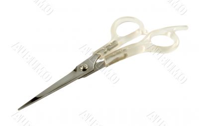 scissors4