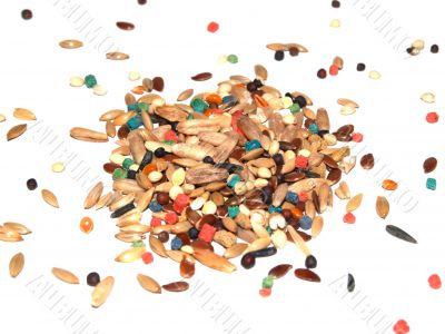 seeds