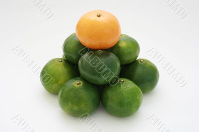 citrus pyramid