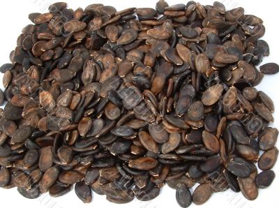 Dried grains of a water-melon