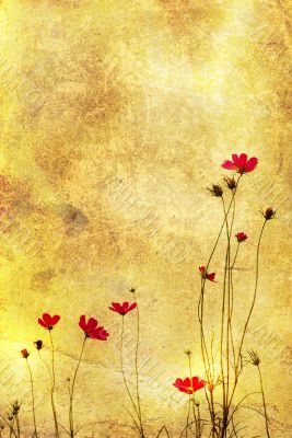 old-fashioned flower