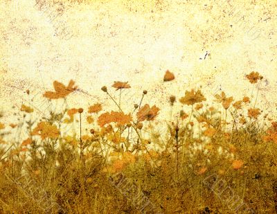 old-fashioned flower