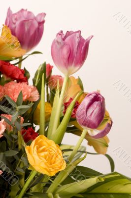 Tulips, Carnations & Roses