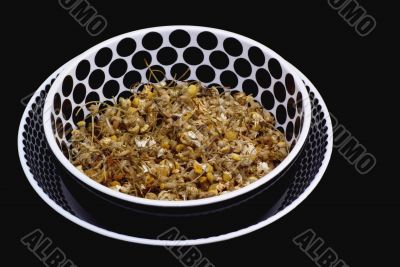 Bowl with camomile.