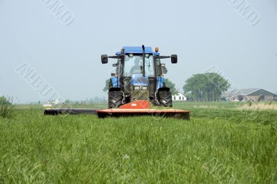 mowing the grass