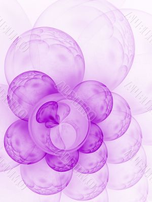 Bubbly Nature against White