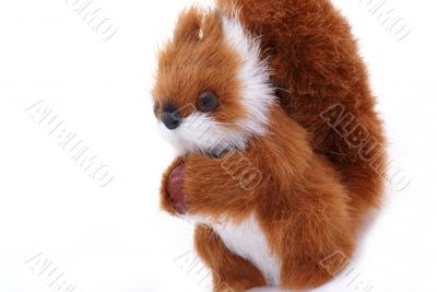 SquirrelII