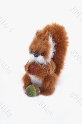 Squirrel with walnut and acorn.