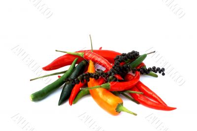 Peppers...and more peppers.