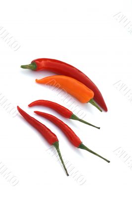 Small, big, red and orange.