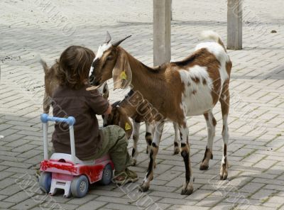 The girl and the goat.