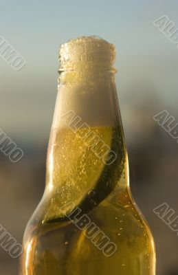 Mexican beer