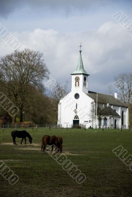 portrait landscape with horses