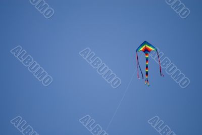 kite in the air
