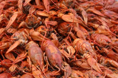 Fine boiled crayfishes