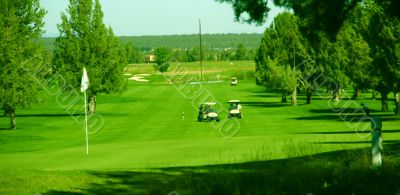 Golf carts at the 7th green