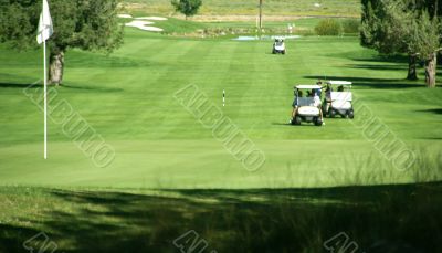 Golf carts at the 7th green