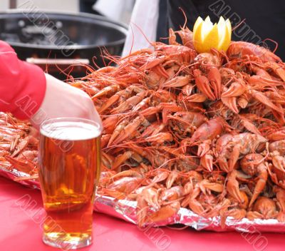 Beer, crayfishes and lemon