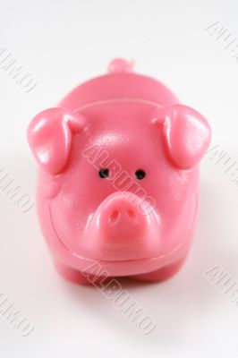 Pink Pig